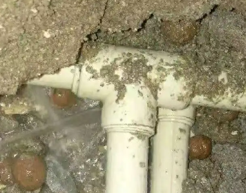 竞秀测漏水多少钱