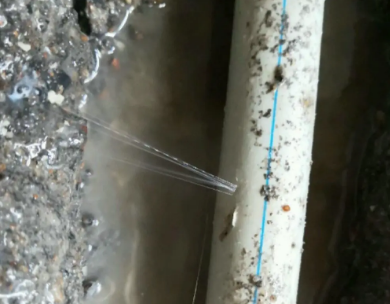 竞秀测漏水哪家好