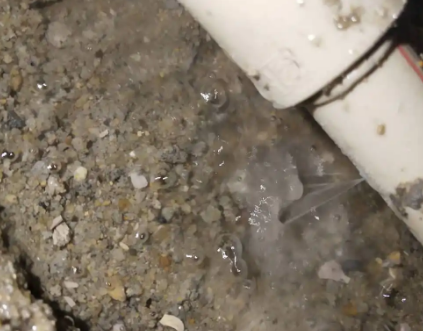 竞秀测漏水电话号码