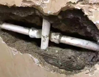 竞秀测漏水哪家好