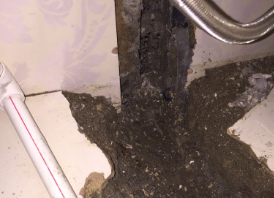 竞秀卫生间测漏水哪家好